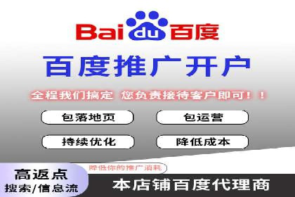 案例解读：SEO与SEM优化助力电商崛起
